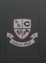 Colusa High School 2010 yearbook cover photo