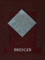 Ambridge Area High School 1988 yearbook cover photo