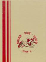 1981 Bremen High School Yearbook from Midlothian, Illinois cover image
