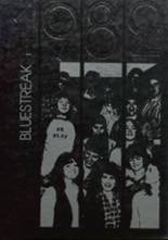 Neodesha High School 1982 yearbook cover photo