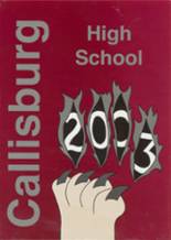 Callisburg High School 2003 yearbook cover photo