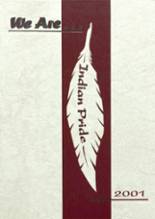 2001 Menomonee Falls High School Yearbook from Menomonee falls, Wisconsin cover image