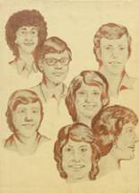 Lakeview High School 1975 yearbook cover photo