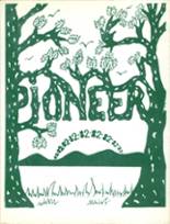 Pioneer High School 1982 yearbook cover photo