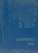 Unicoi County High School 1975 yearbook cover photo