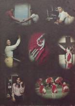 Ridgefield Park High School 1981 yearbook cover photo