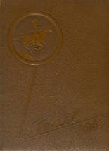 1950 Statesville High School Yearbook from Statesville, North Carolina cover image