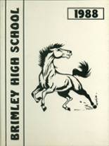 Brimley High School 1988 yearbook cover photo