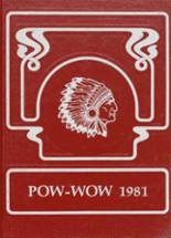 1981 Belgrade High School Yearbook from Belgrade, Minnesota cover image