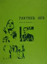 Derby High School 1973 yearbook cover photo