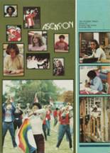 Princeton High School 1981 yearbook cover photo