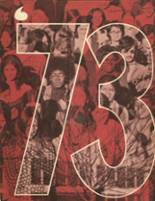 Bristol High School 1973 yearbook cover photo