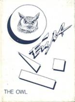 Madawaska High School 1988 yearbook cover photo