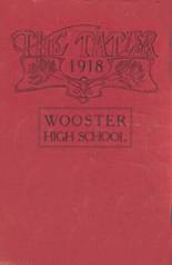 Wooster High School 1919 yearbook cover photo