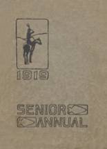 Sheridan High School 1919 yearbook cover photo