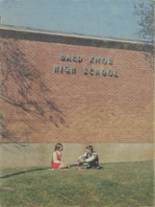 Bald Knob High School 1971 yearbook cover photo