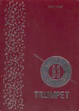 1993 Maine Central Institute Yearbook from Pittsfield, Maine cover image