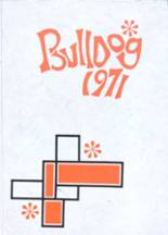 1971 Magnolia High School Yearbook from Magnolia, Minnesota cover image