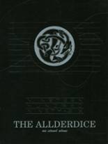 Allderdice High School 1996 yearbook cover photo