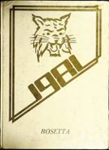 Wheeler High School 1981 yearbook cover photo