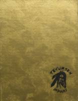 1973 Tecumseh High School Yearbook from Tecumseh, Nebraska cover image