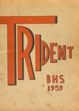 Brewer High School 1959 yearbook cover photo