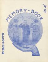 Peotone High School 1945 yearbook cover photo