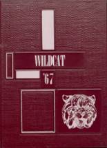 Edmonson County High School 1967 yearbook cover photo