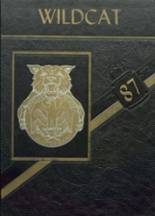 1987 Seiling High School Yearbook from Seiling, Oklahoma cover image