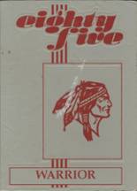 McEwen High School 1985 yearbook cover photo