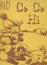 1945 Charles City High School Yearbook from Charles city, Iowa cover image