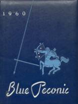 Riverhead High School 1960 yearbook cover photo