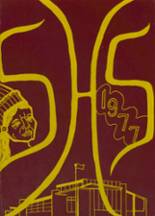 1977 Stockton High School Yearbook from Stockton, Illinois cover image