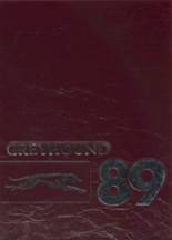 1989 Naugatuck High School Yearbook from Naugatuck, Connecticut cover image