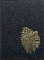 1968 Stockton High School Yearbook from Stockton, Illinois cover image