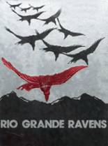 Rio Grande High School 1981 yearbook cover photo