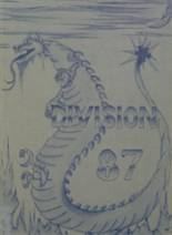Division Avenue High School 1987 yearbook cover photo