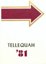 Tellico Plains High School 1981 yearbook cover photo