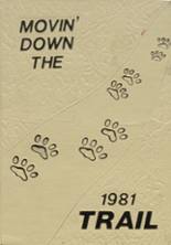 Norman High School 1981 yearbook cover photo