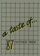 Plano East Senior High School 1987 yearbook cover photo