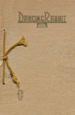 1917 McAlester High School Yearbook from Mcalester, Oklahoma cover image