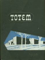 Owatonna High School 1956 yearbook cover photo