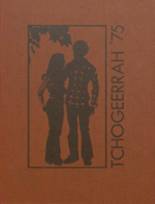 Ft. Atkinson High School 1975 yearbook cover photo