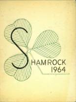 Dublin High School 1964 yearbook cover photo