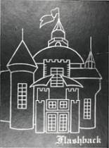 Stamford High School 1981 yearbook cover photo