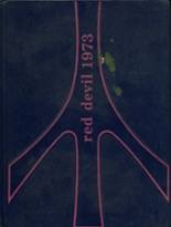 1973 Decatur Community High School Yearbook from Oberlin, Kansas cover image