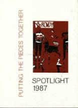 Palatine High School 1987 yearbook cover photo