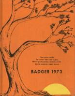 1973 Limon High School Yearbook from Limon, Colorado cover image