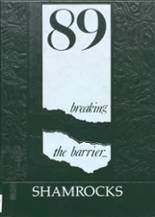 Berrien Springs High School 1989 yearbook cover photo