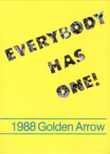 1988 Olentangy High School Yearbook from Lewis center, Ohio cover image